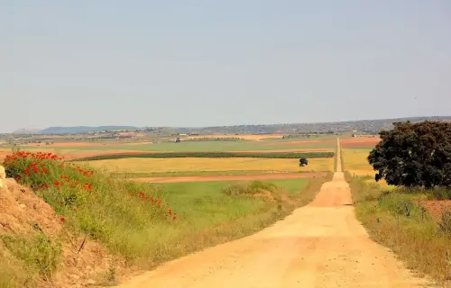 3.1-Las-Tierras-Altas-Petrola04-Por-Santa-Rosa