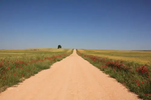 3.1-Las-Tierras-Altas-Petrola05-Por-Santa-Rosa
