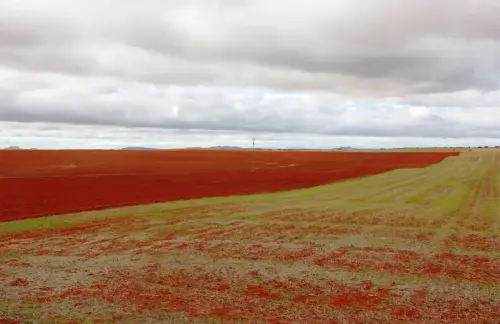 3.1-Las-Tierras-Altas-Petrola06