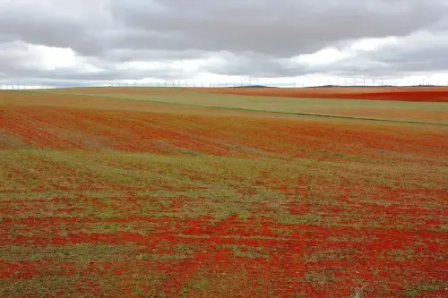 3.1-Las-Tierras-Altas-Petrola07