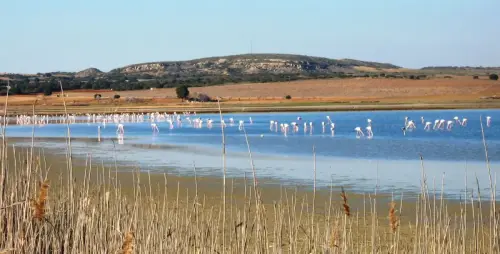 3.1-Las-Tierras-Altas-Petrola13-Laguna-salada