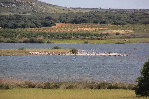 3.1-Las-Tierras-Altas-Petrola14-Laguna-salada