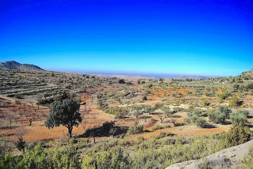 3.2-Las-Tierras-Altas-Alatoz01