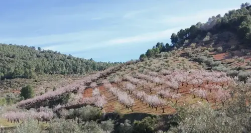 3.2-Las-Tierras-Altas-Alatoz02