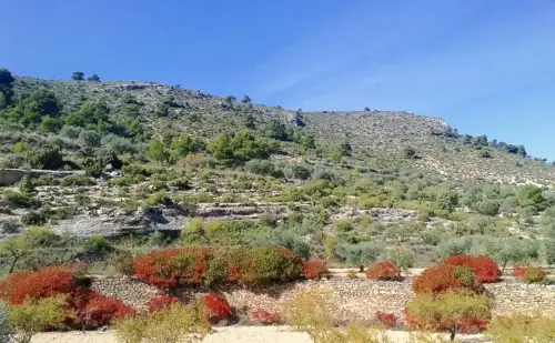 3.2-Las-Tierras-Altas-Alatoz03