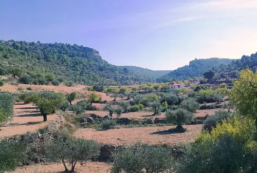 3.2-Las-Tierras-Altas-Alatoz05