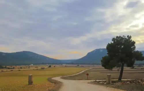 3.2-Las-Tierras-Altas-Carcelen06-La-Herrada