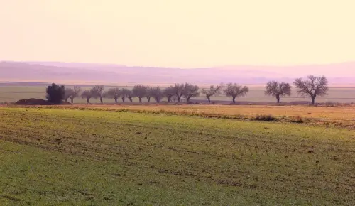 3.2-Las-Tierras-Altas-Casas-de-Juan-Nunez03