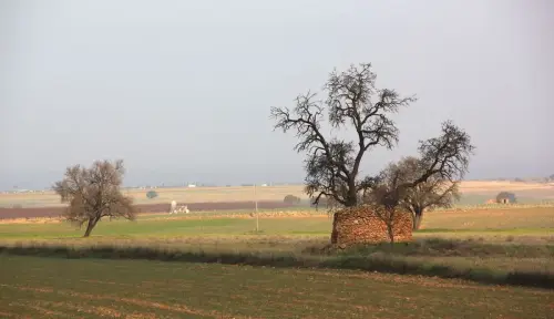 3.2-Las-Tierras-Altas-Casas-de-Juan-Nunez07