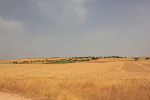 3.2-Las-Tierras-Altas-Pozo-Lorente01