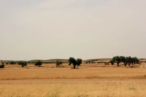 3.2-Las-Tierras-Altas-Pozo-Lorente03