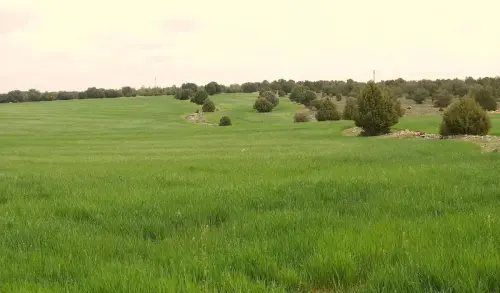 4-El-Campo-de-Montiel-El-Ballestero02