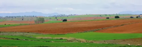 4-El-Campo-de-Montiel-El-Ballestero03