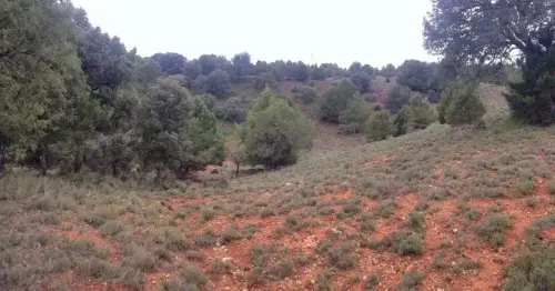 4-El-Campo-de-Montiel-El-Ballestero04