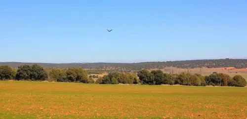 4-El-Campo-de-Montiel-El-Ballestero05
