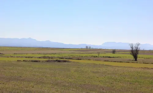 4-El-Campo-de-Montiel-El-Ballestero06