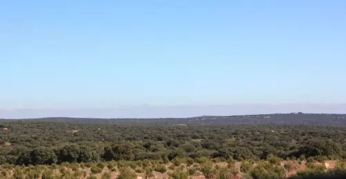 4-El-Campo-de-Montiel-El-Ballestero07