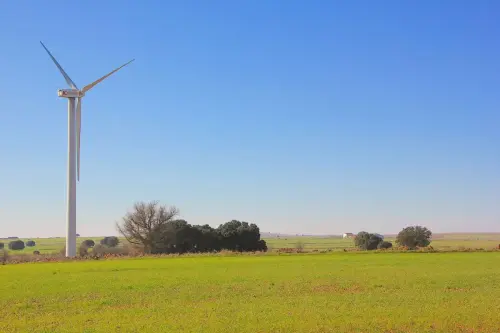 4-El-Campo-de-Montiel-El-Ballestero08
