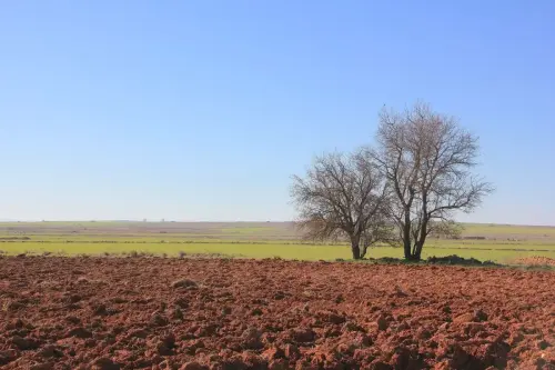 4-El-Campo-de-Montiel-El-Ballestero09