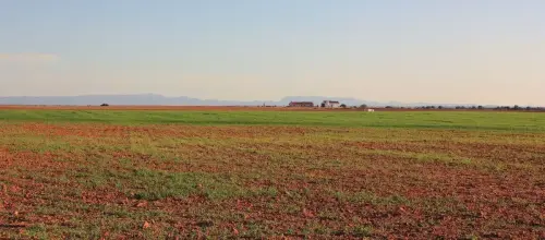 4-El-Campo-de-Montiel-El-Bonillo01