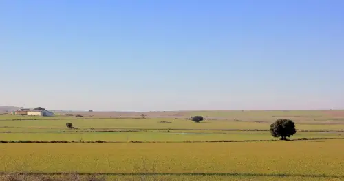 4-El-Campo-de-Montiel-El-Bonillo02