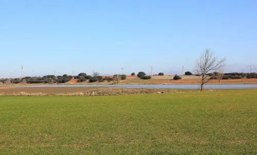 4-El-Campo-de-Montiel-El-Bonillo03