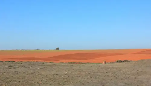 4-El-Campo-de-Montiel-El-Bonillo04