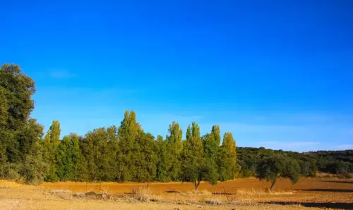 4-El-Campo-de-Montiel-El-Bonillo09-Rio-de-Sotuelamos