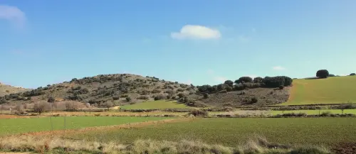 4-El-Campo-de-Montiel-Lezuza03