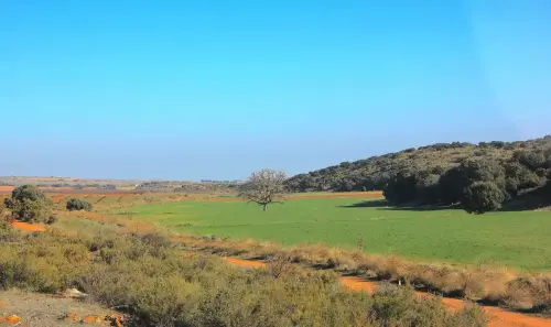 4-El-Campo-de-Montiel-Lezuza04