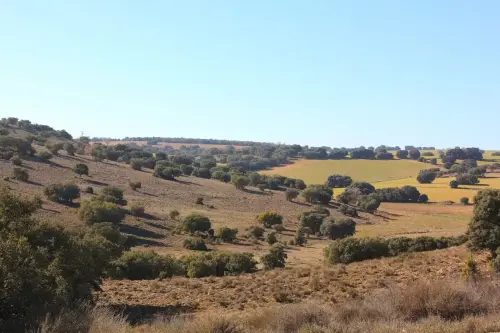 4-El-Campo-de-Montiel-Lezuza07