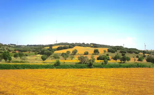 4-El-Campo-de-Montiel-Lezuza08