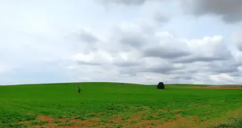 4-El-Campo-de-Montiel-Lezuza09