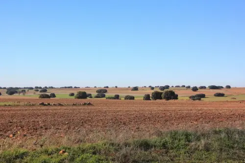 4-El-Campo-de-Montiel-Lezuza10