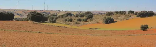 4-El-Campo-de-Montiel-Munera03