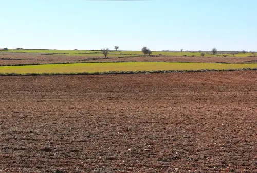 4-El-Campo-de-Montiel-Munera04