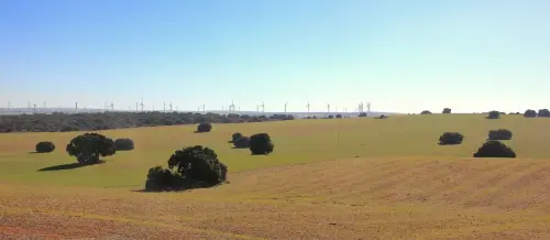 4-El-Campo-de-Montiel-Munera05