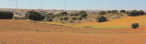 4-El-Campo-de-Montiel-Munera06