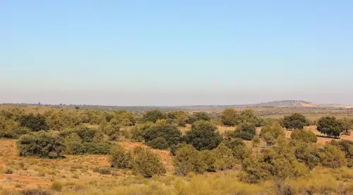 4-El-Campo-de-Montiel-Munera07