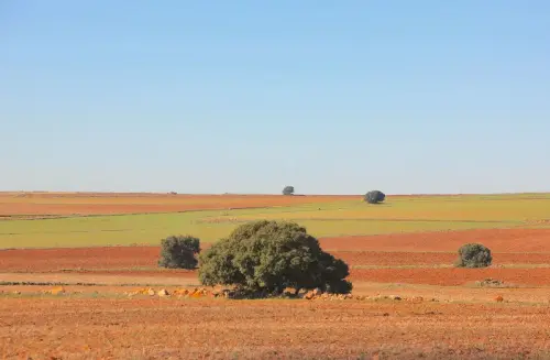 4-El-Campo-de-Montiel-Munera08