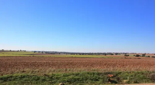 4-El-Campo-de-Montiel-Munera09