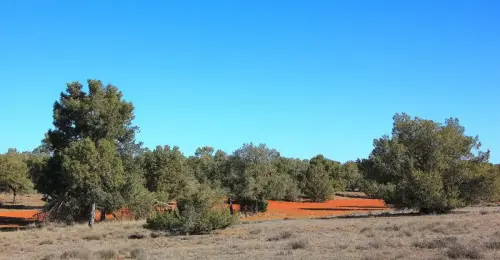 4-El-Campo-de-Montiel-Ossa-de-Montiel07