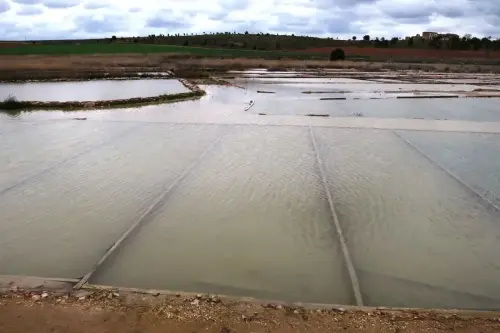 4-El-Campo-de-Montiel-Viveros06-Pinilla