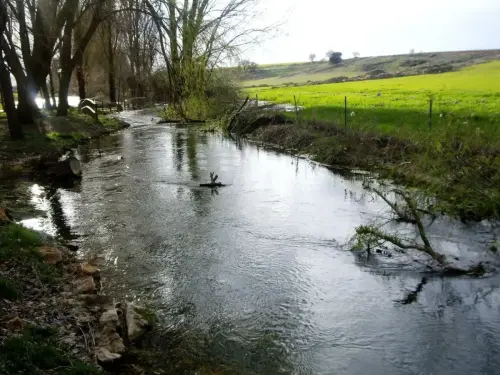 4-El-Campo-de-Montiel-Viveros07-El-Ojuelo
