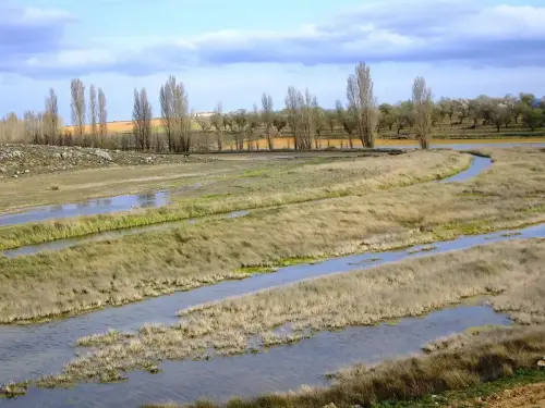 4-El-Campo-de-Montiel-Viveros08-El-Ojuelo