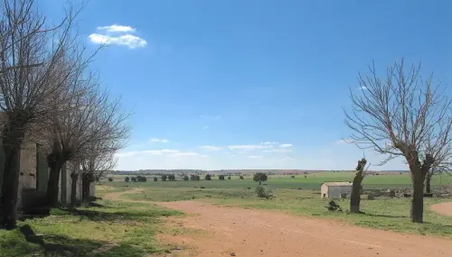 4-El-Campo-de-Montiel-Viveros09-Las-Covatillas