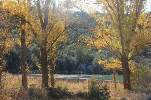 4.1-El-Campo-de-Montiel-Lagunas-de-Ruidera06