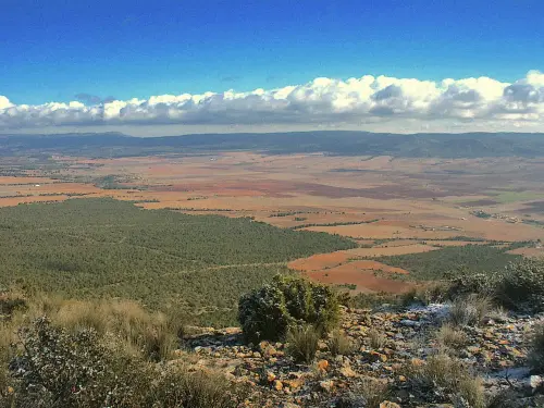 Comarca del Altiplano de Almansa