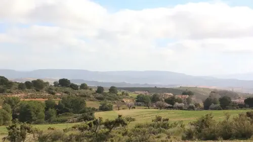 5-Altiplano-de-Almansa-Caudete06