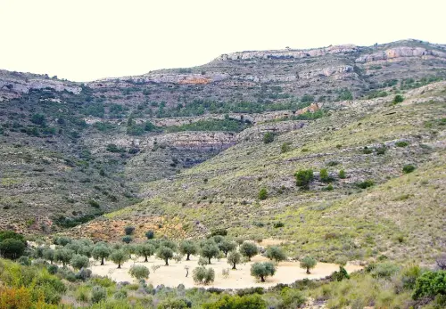 5-Altiplano-de-Almansa-Caudete07-Sa-de-Santa-Barbara